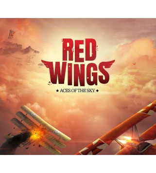 Red Wings: Aces of the Sky PS4 PlayStation 4 Key EUROPE